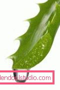 Aloe pre vlasy a vlasovú pokožku