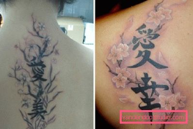 ázijské frázy s vetvou sakura ázijské frázy s vetvou sakura